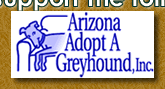 Arizona Adopt a Greyhound