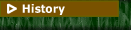 The history of Lawns by Les, LLC